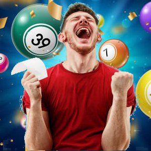 Gestión de Promociones Comerciales y de Canje