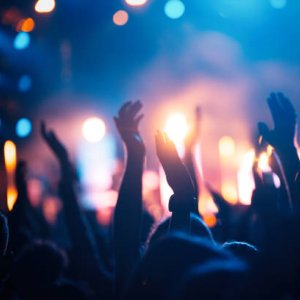 Gestión de Licencia para Eventos y Conciertos